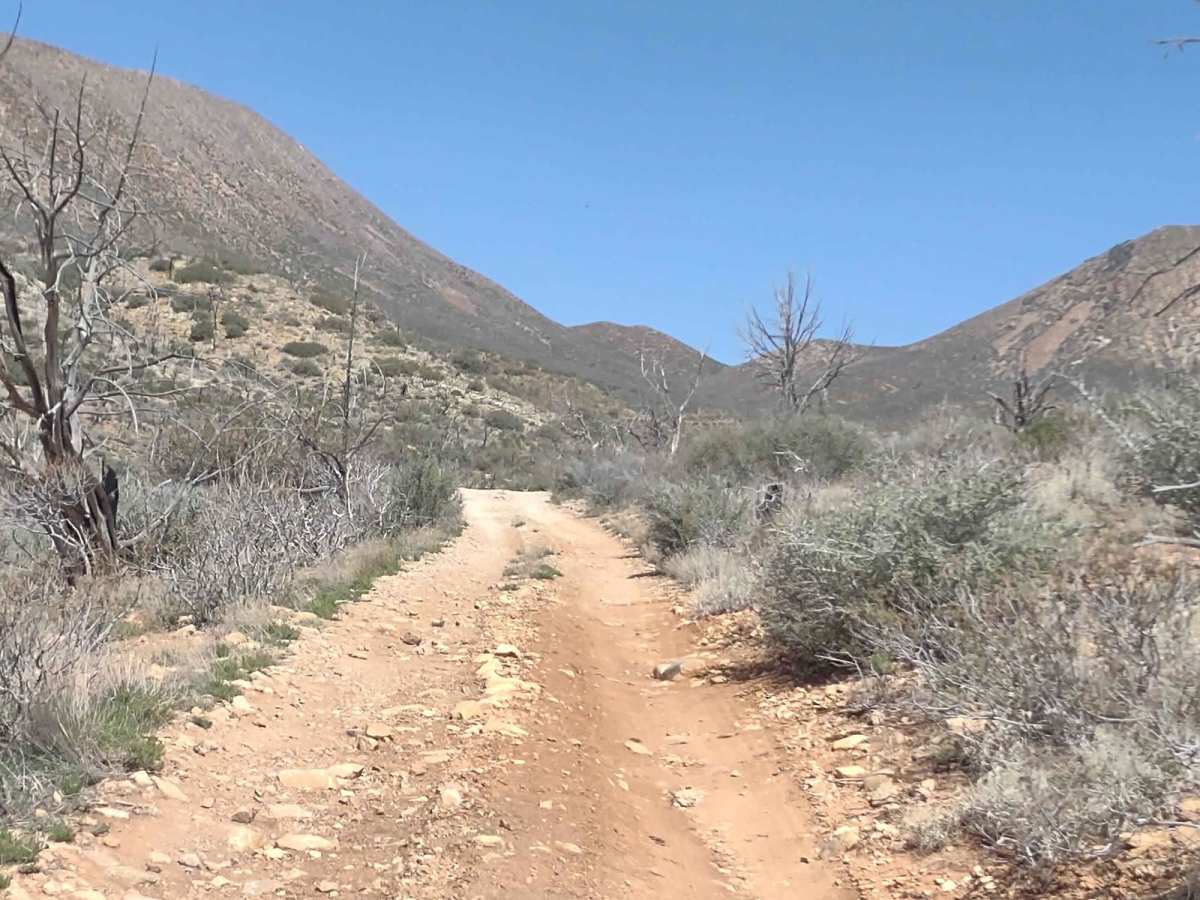 Billy Goat Byway to Jackson Peak photo 5