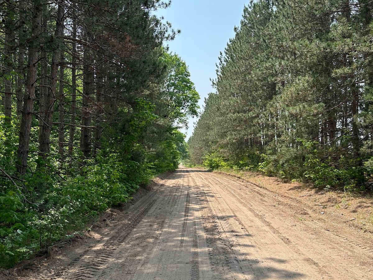 Fruitville Road trail photo