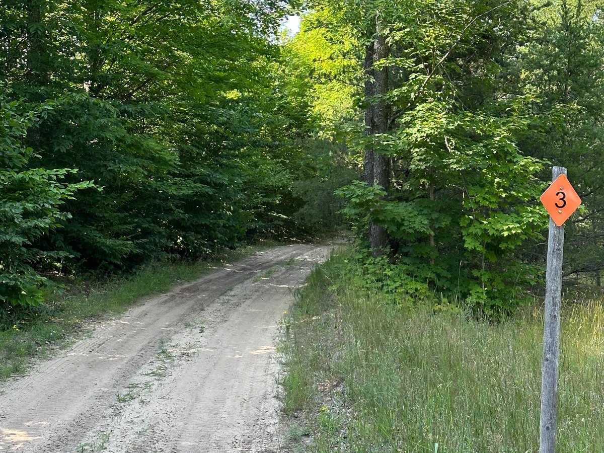 Oviatt Spur/Trail 3 photo 3