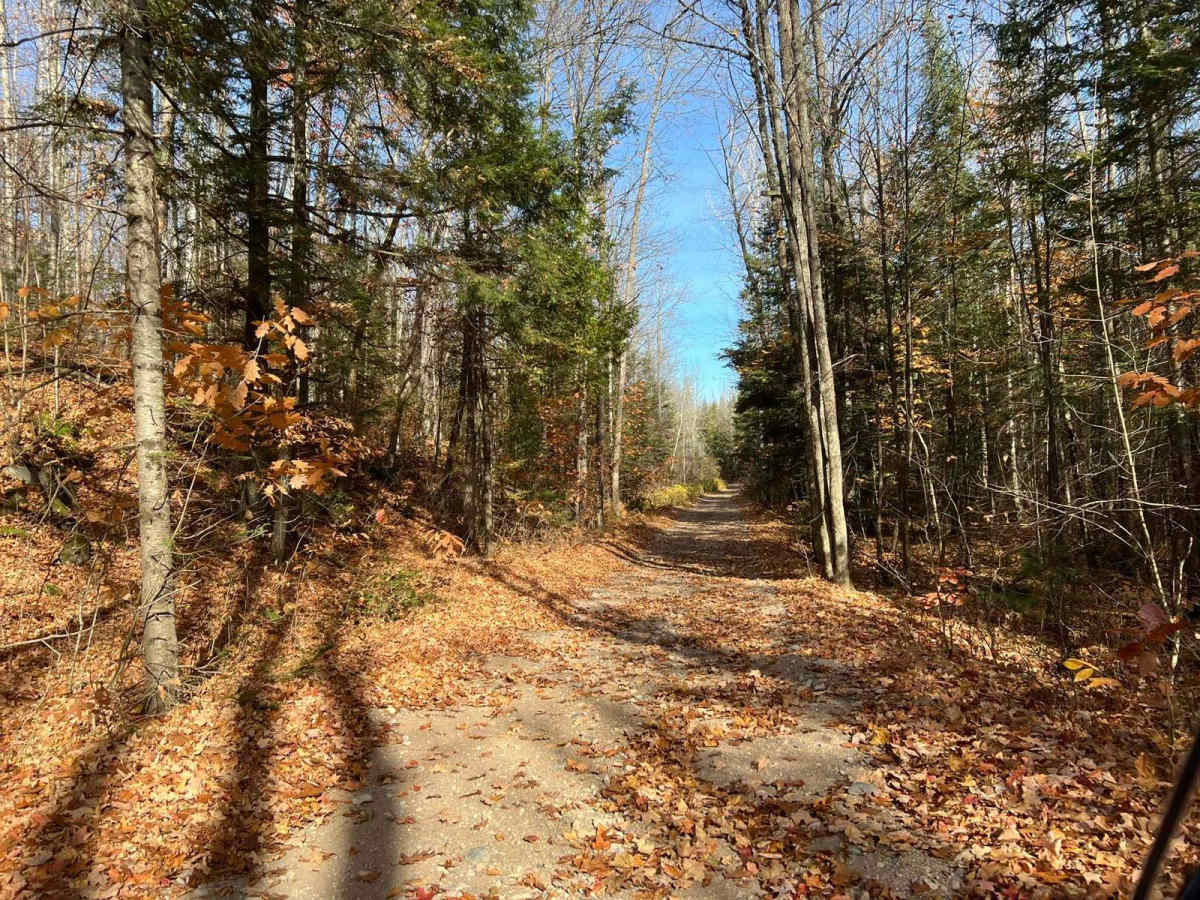 Pembine North Loop Trail 3 photo 4