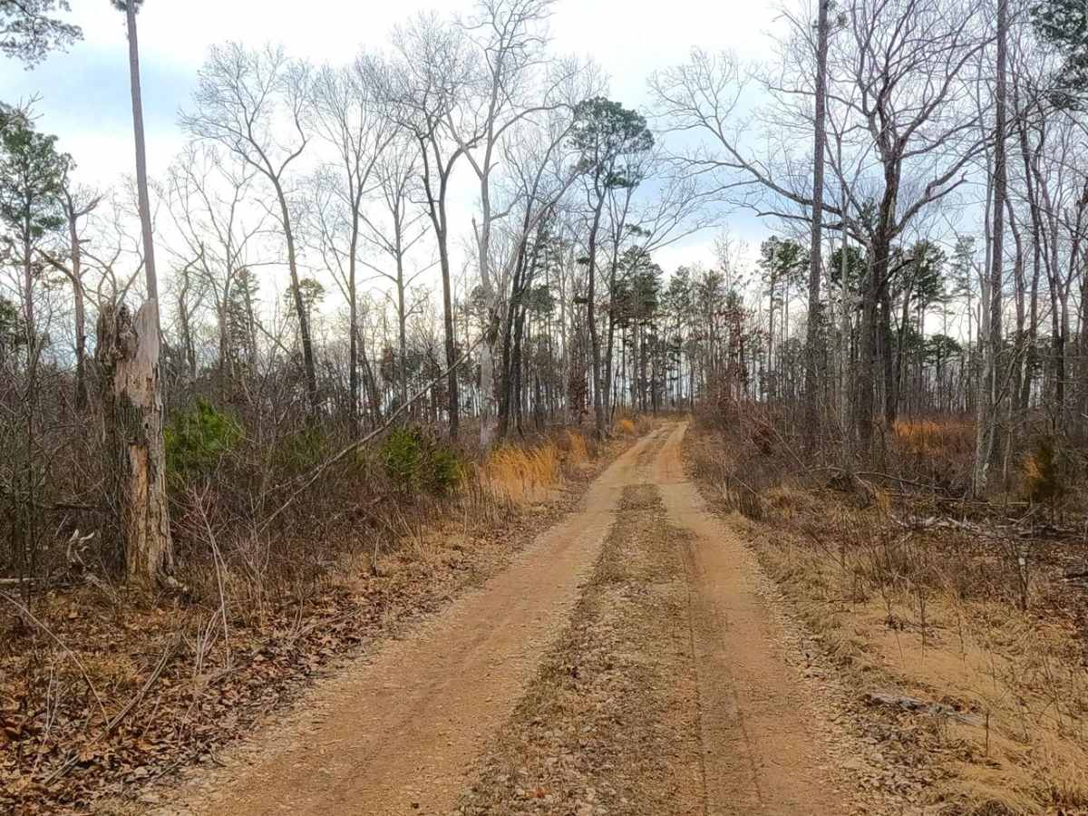 Snapps Hollow - FS 2698 photo 4