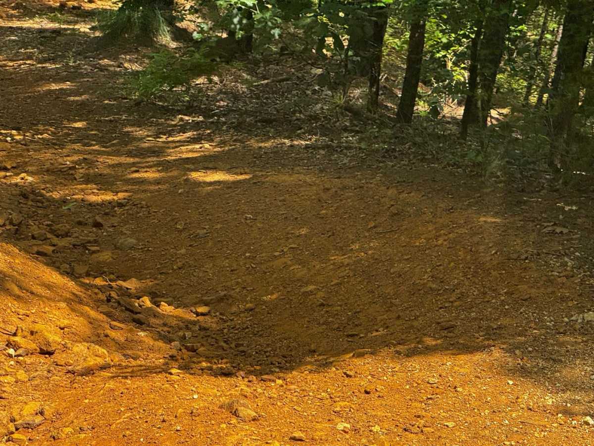 Old Camp Road photo 5