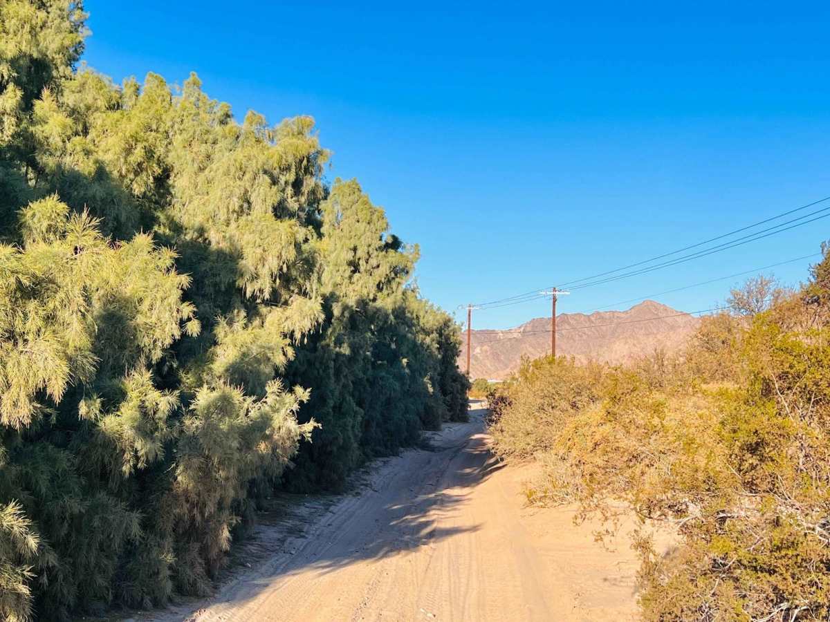 AZPT South Spur to Yuma photo 6