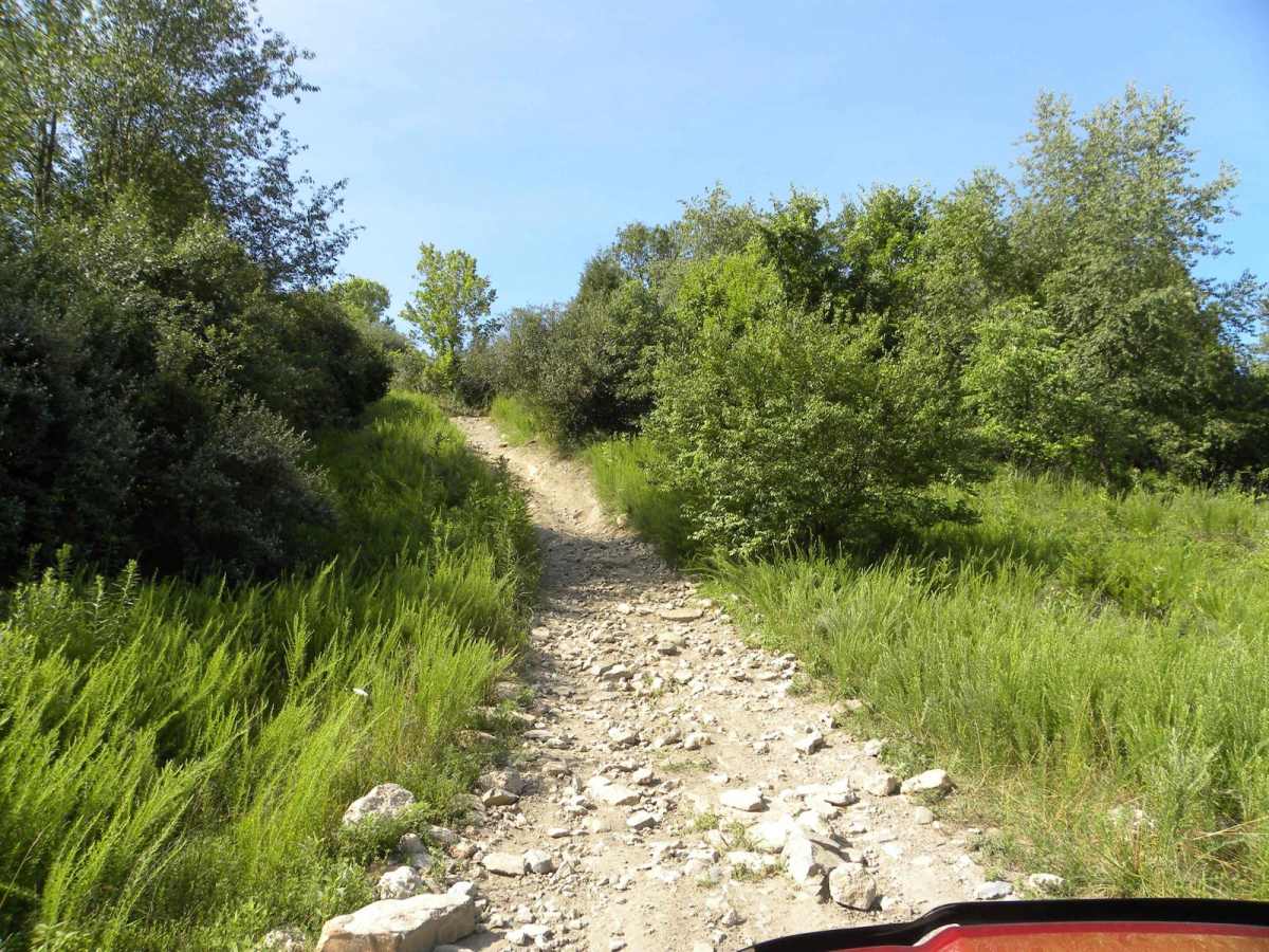 Trail 1B (Intermediate) photo 6