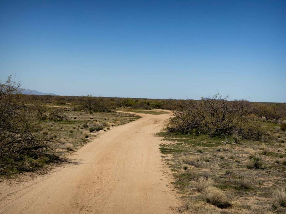 Jackrabbit Way photo 2
