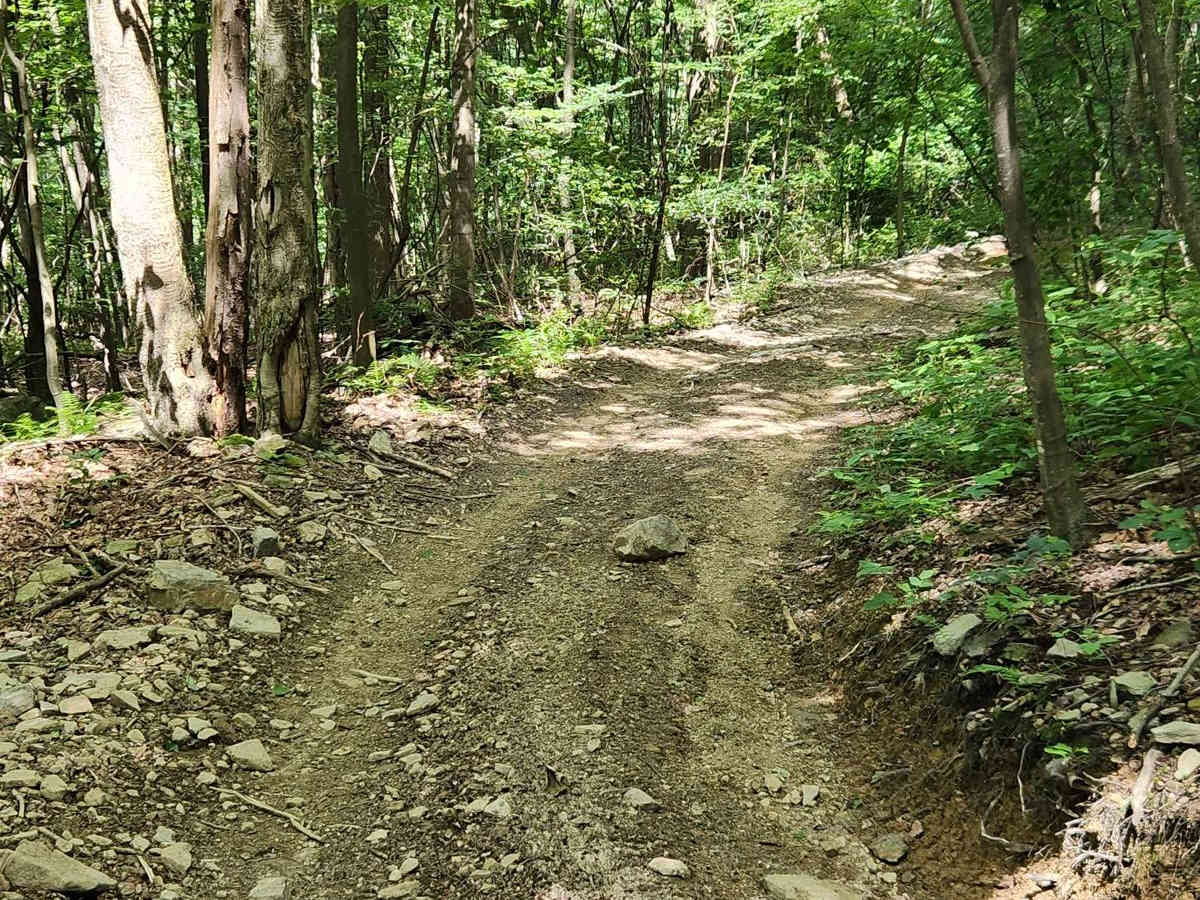 Trail 2D - Rock Run Recreation Area photo 3