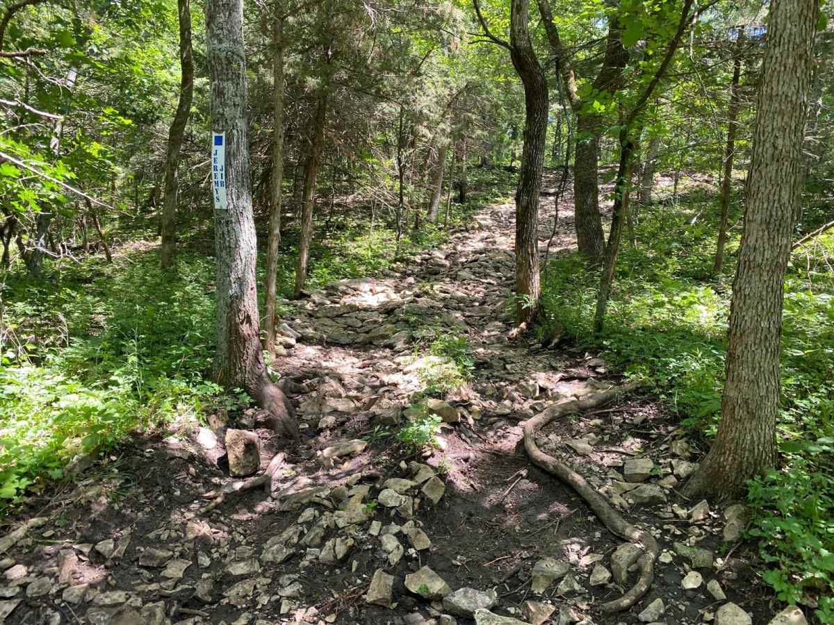 Jeremy's Jibs trail photo
