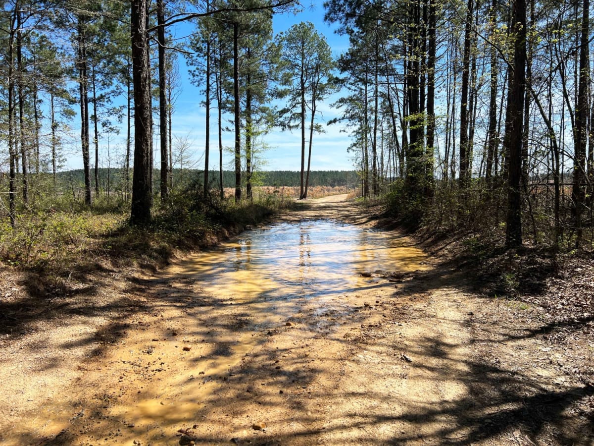 Parker Creek to Rock Creek photo 2