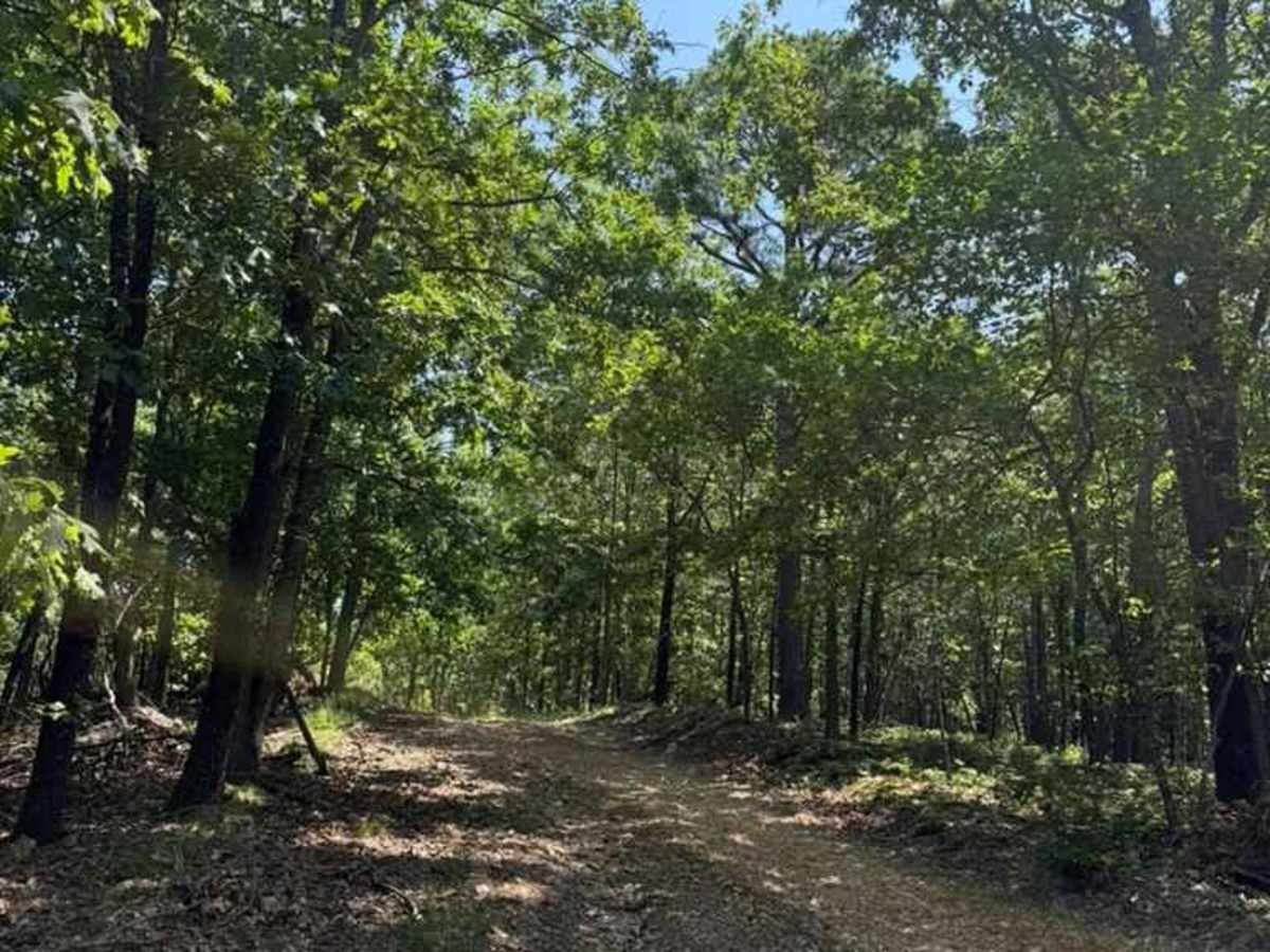 Blake's Trail photo 6