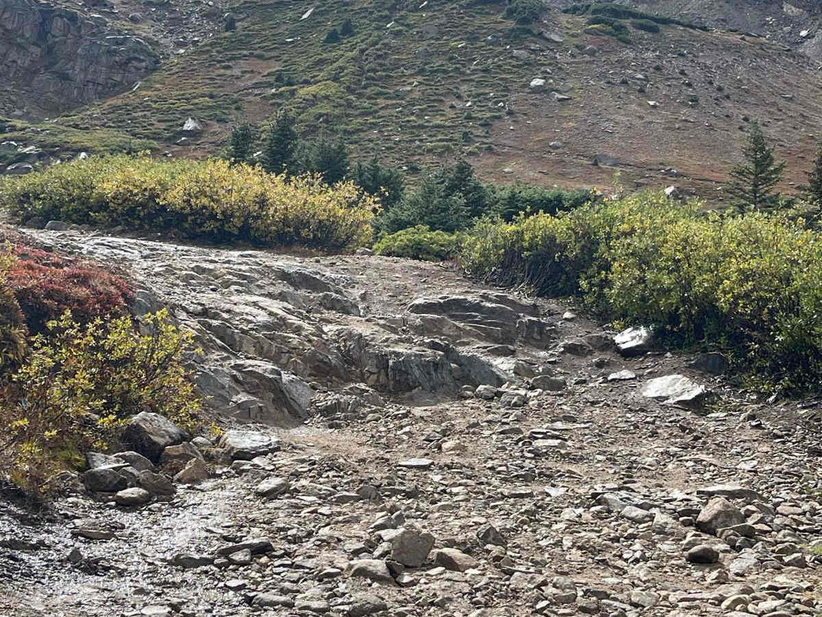 Champion Mine Trail photo 4