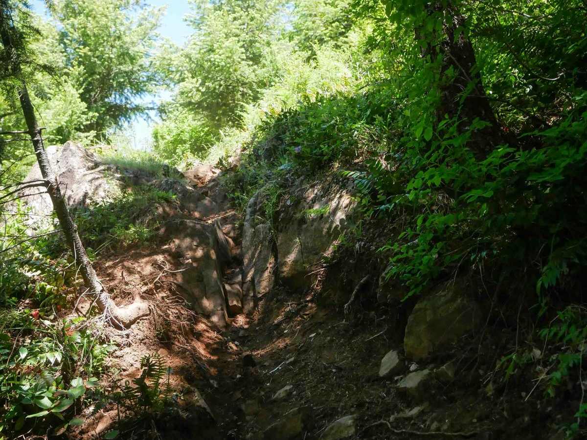 Alpina trail photo