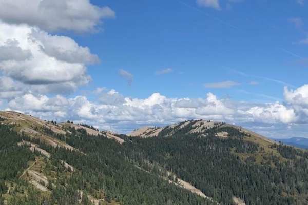 Saint Joe Baldy
