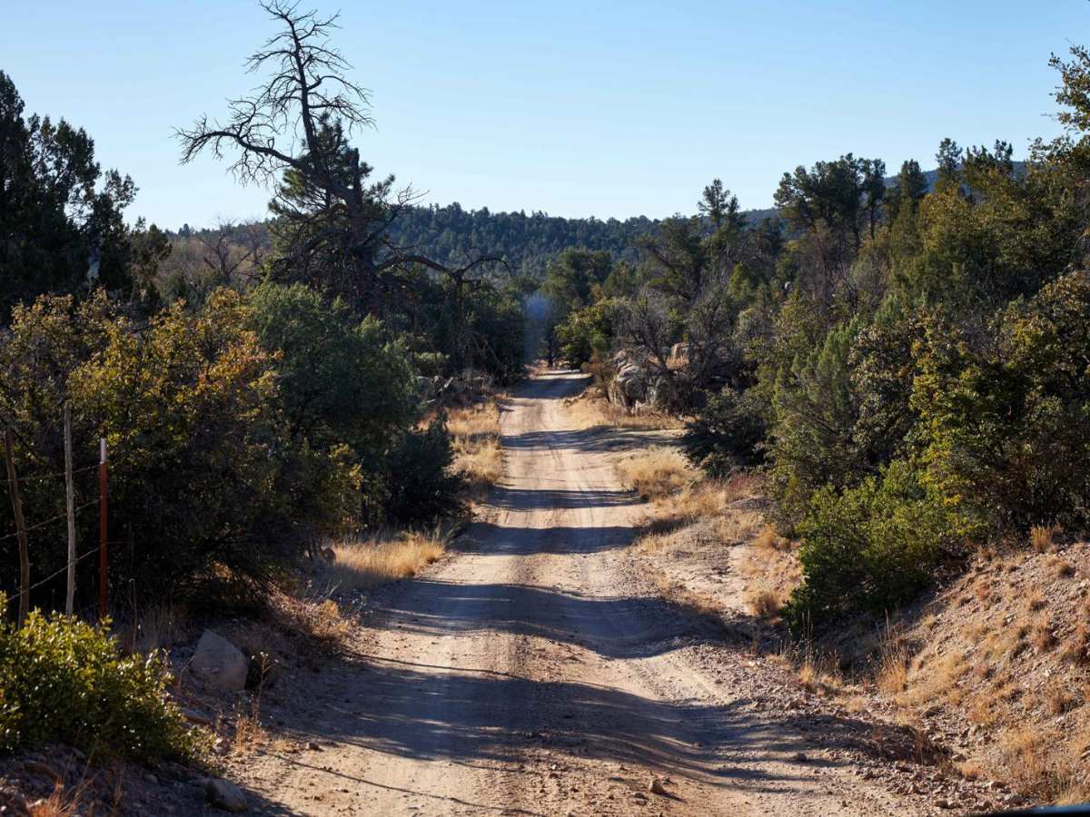 Walnut Creek photo 2