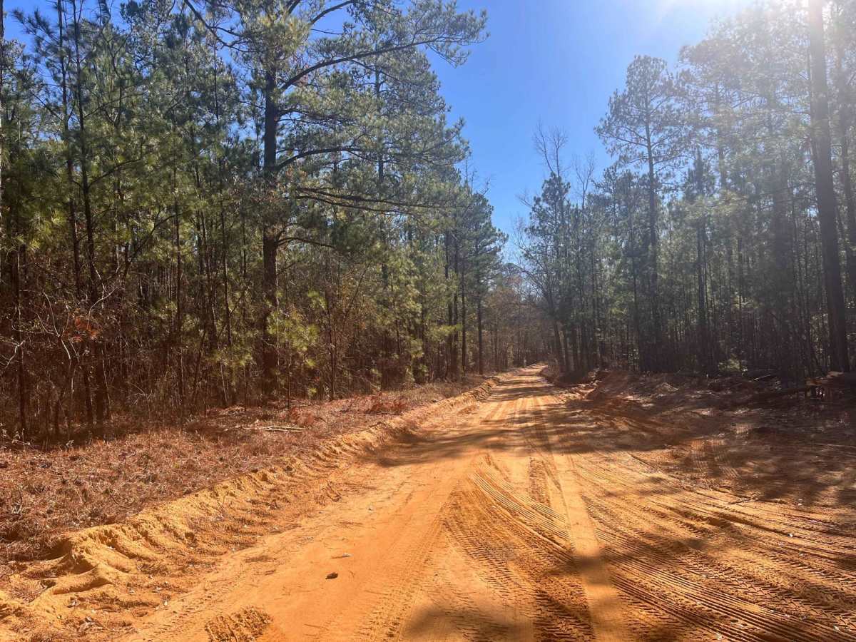 Mason Branch Road photo 3