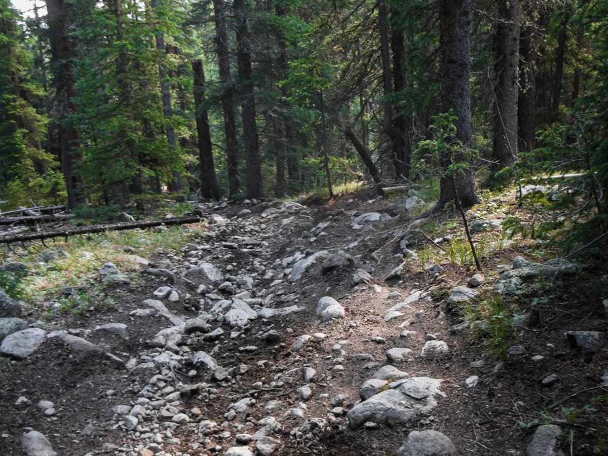 Gold Creek (South) photo 6