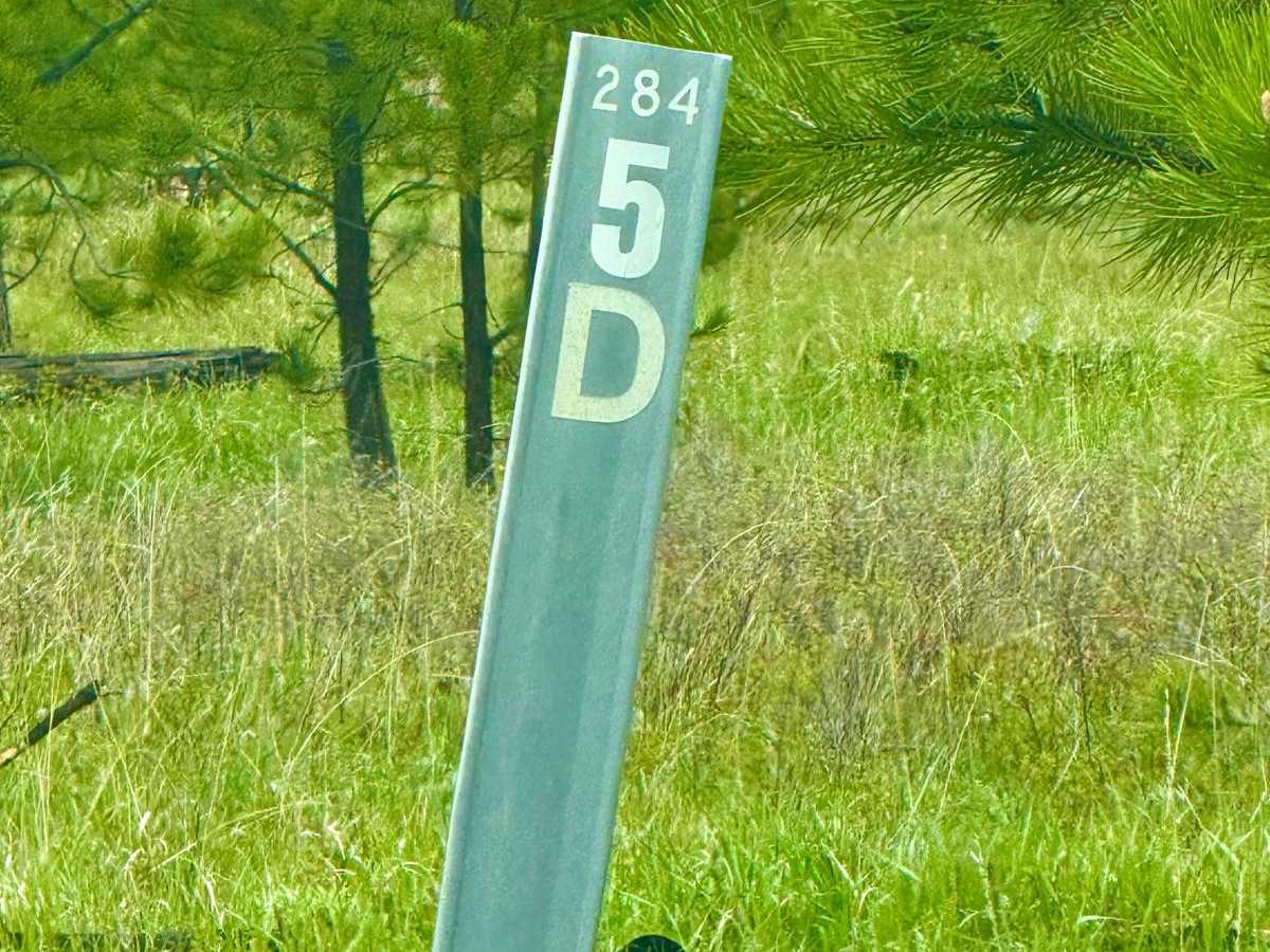 Heggie Spring Road trail photo