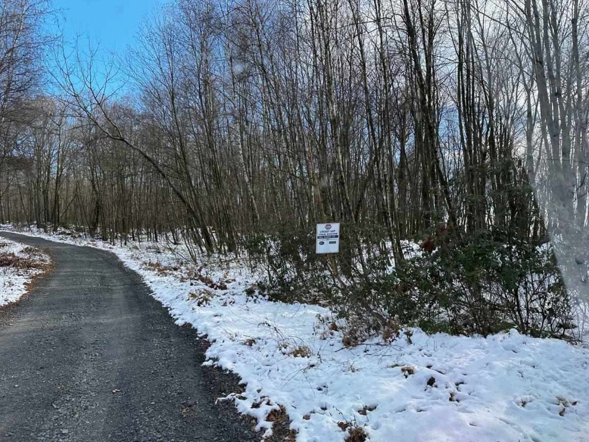 Locust Gap 33 photo 5