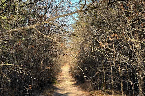 Fawn Road