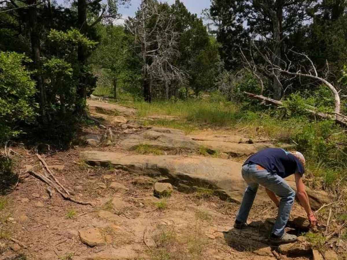Eagle Mountain Bluff Trail FSR 1454 photo 5