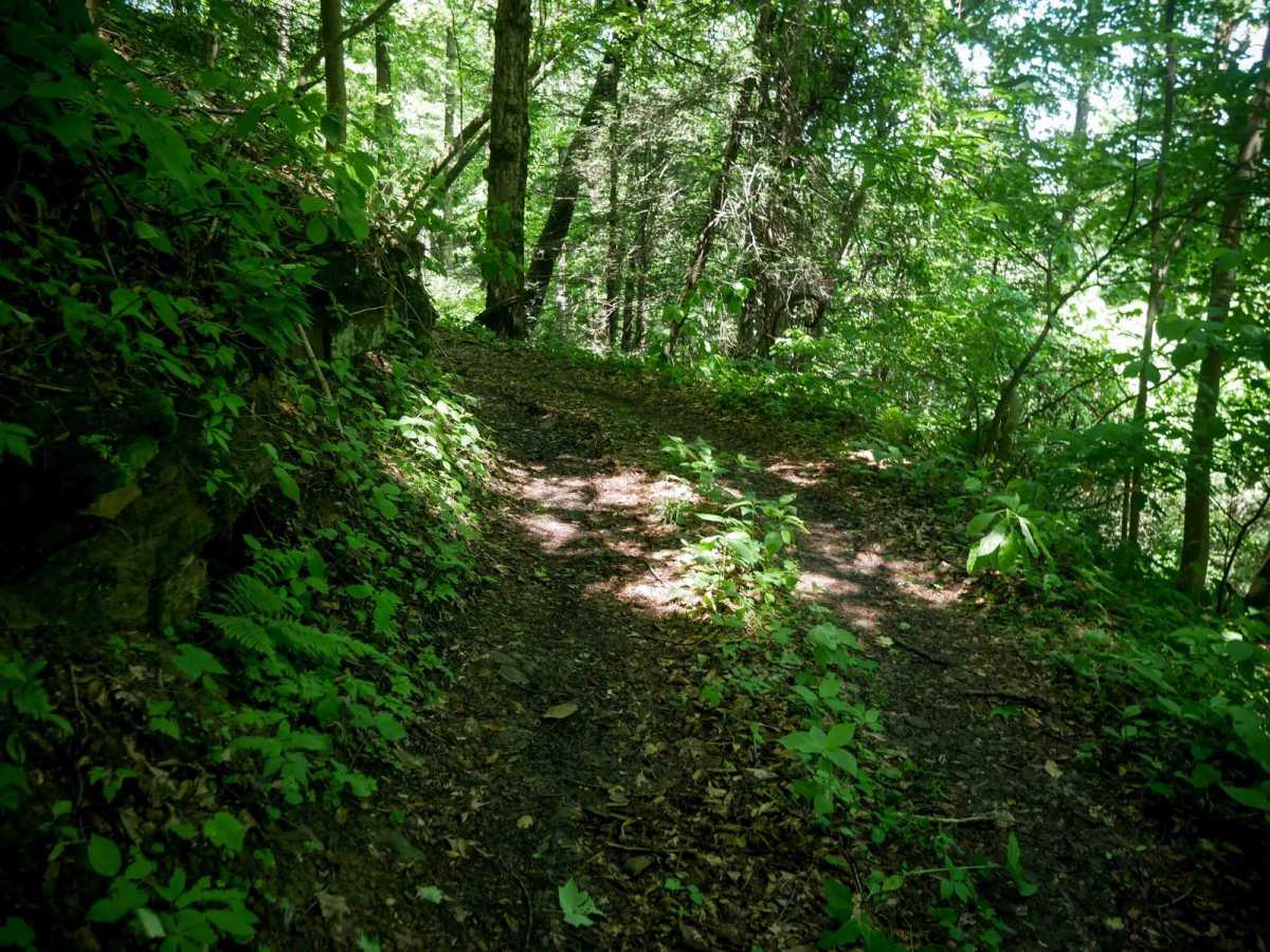 CC72 photo 4
