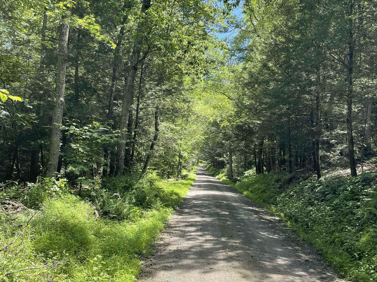 Fourth Gap Road photo 6