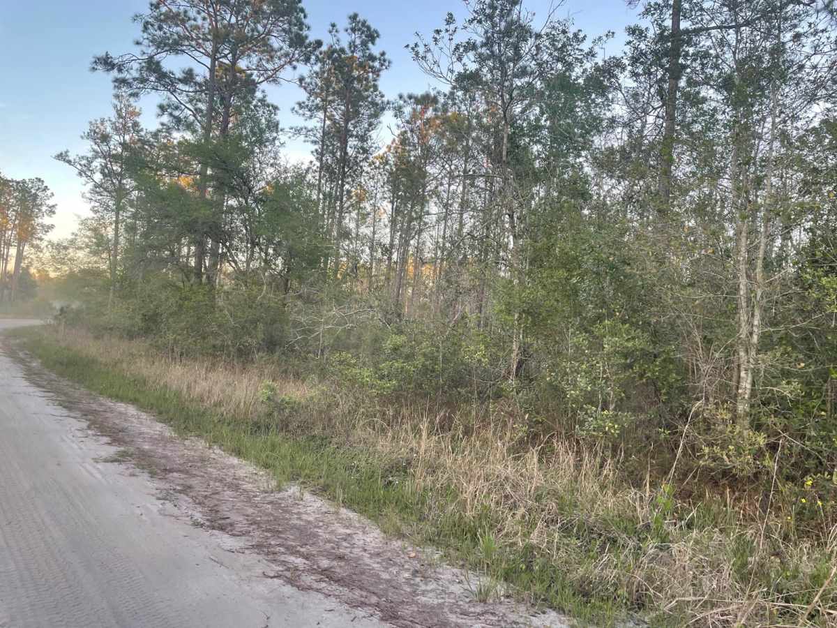Richloam Wildlife Area: Center Grade Road photo 4