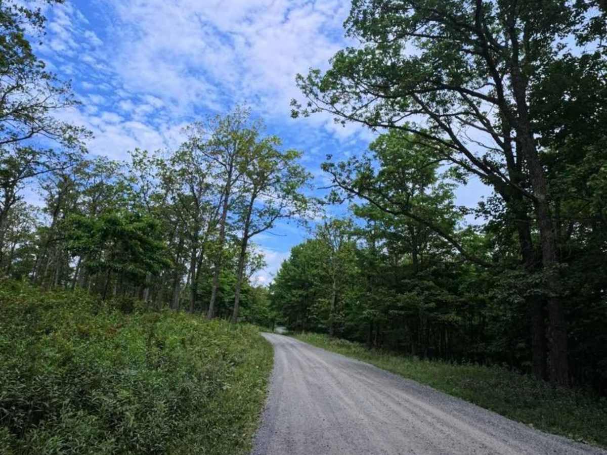 Huckleberry Road photo 4