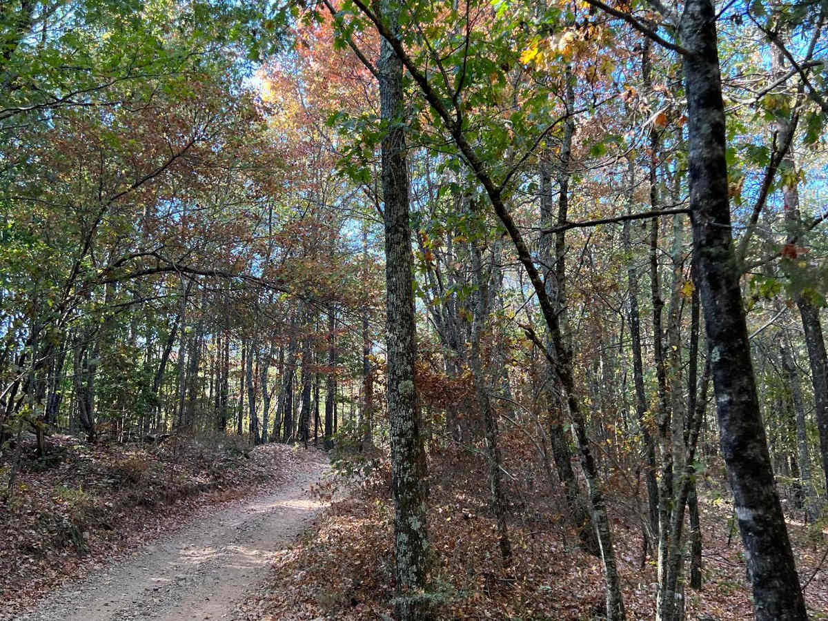 Polk Road 619 West Gap 277 photo 2