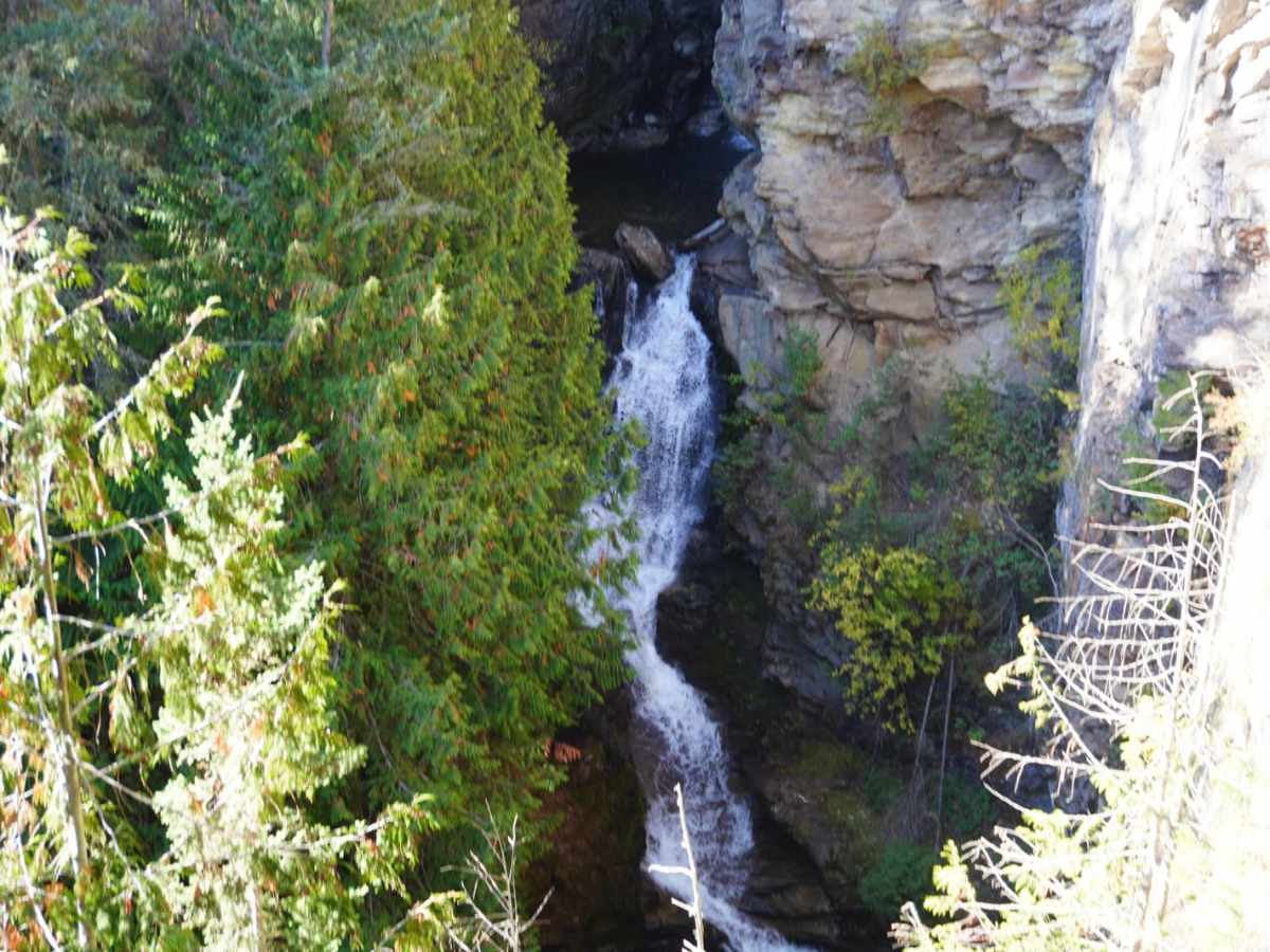 Myrtle Creek 633 photo 2