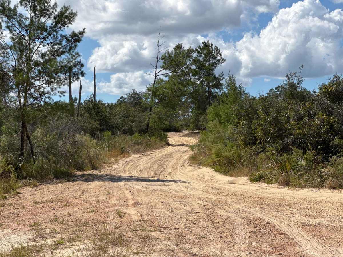 Old Astor Park - ONF 30 photo 5