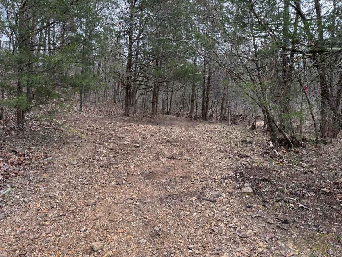 FSR 921B trail photo
