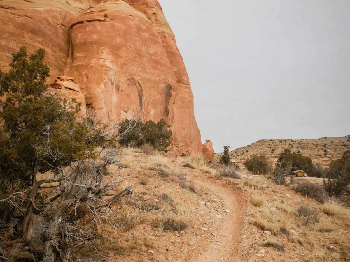 Trail 8 photo 3