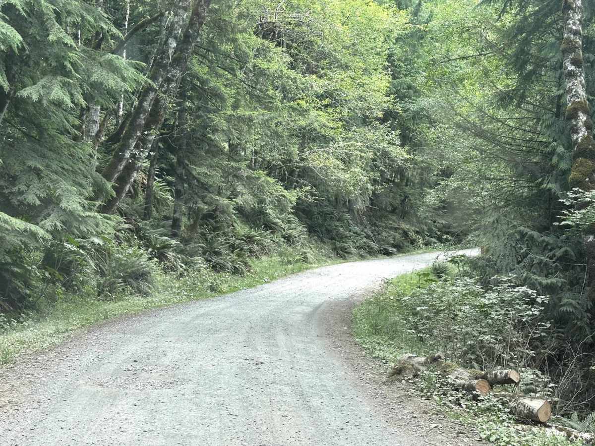 Summit Lake Trailhead photo 5