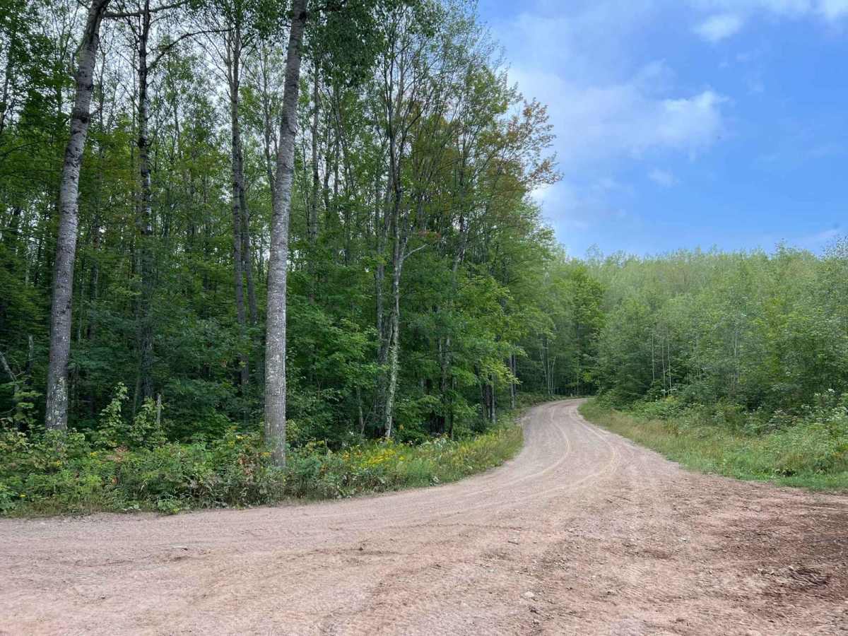 Camp 1 Road - FS 2361 trail photo