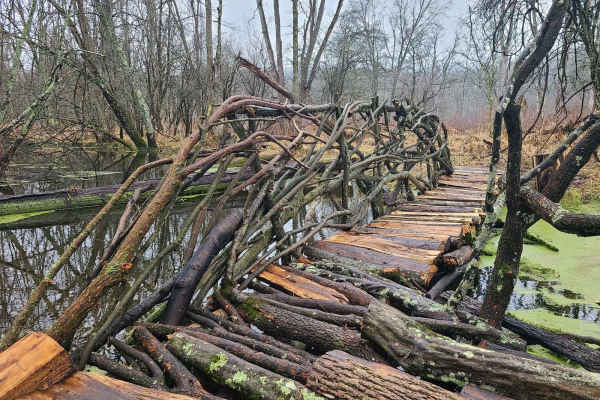 Forest Road 5301