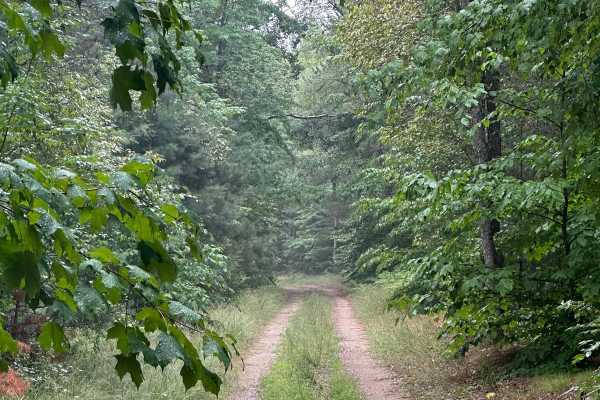 Brozofsky Road