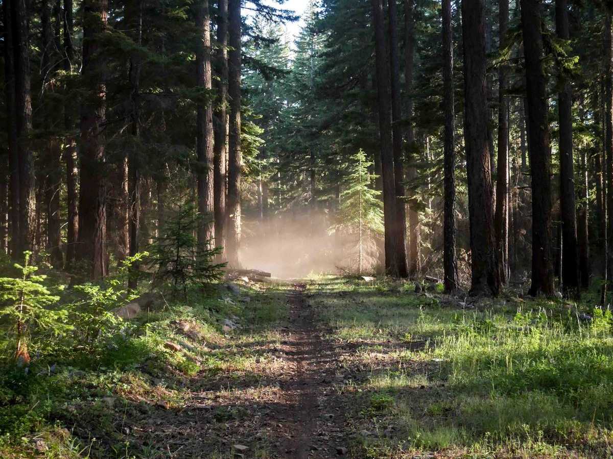 587 trail photo