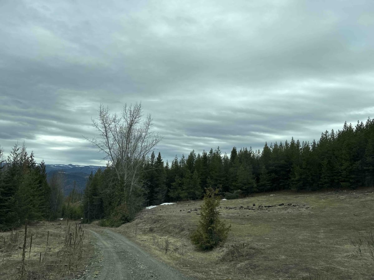 Albers Creek Road photo 2