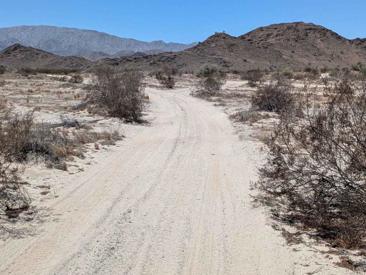 Cerros Norte de San Felipe photo 4