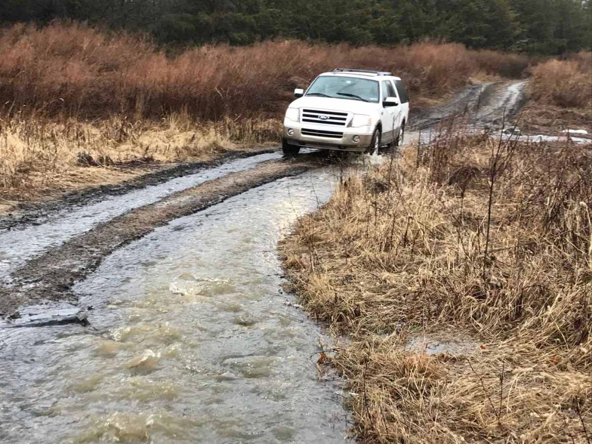 T1 trail photo