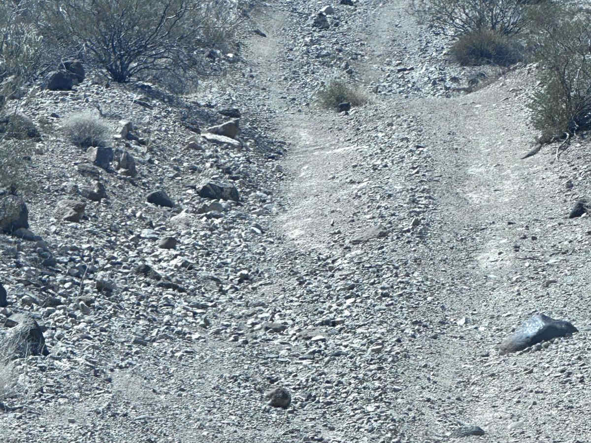 BLM Route 7951 photo 4