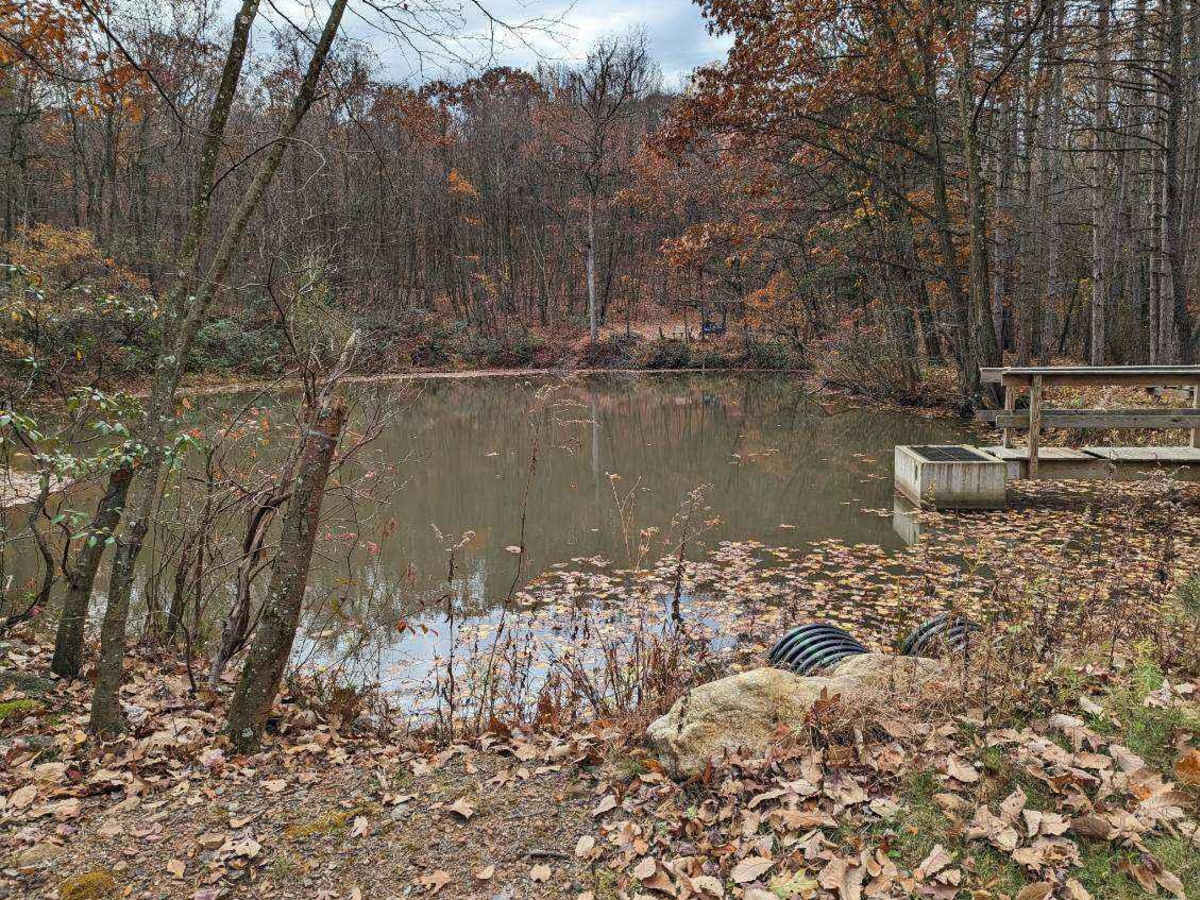 Lake Barry photo 2