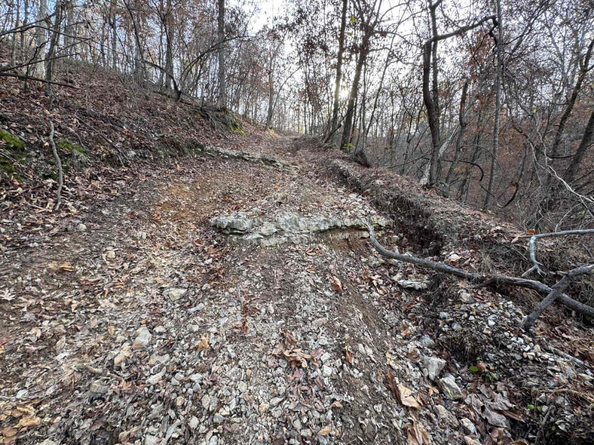 Hixon Hollow 177 photo 3