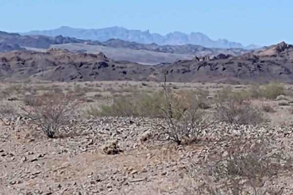 Osborne Wash
