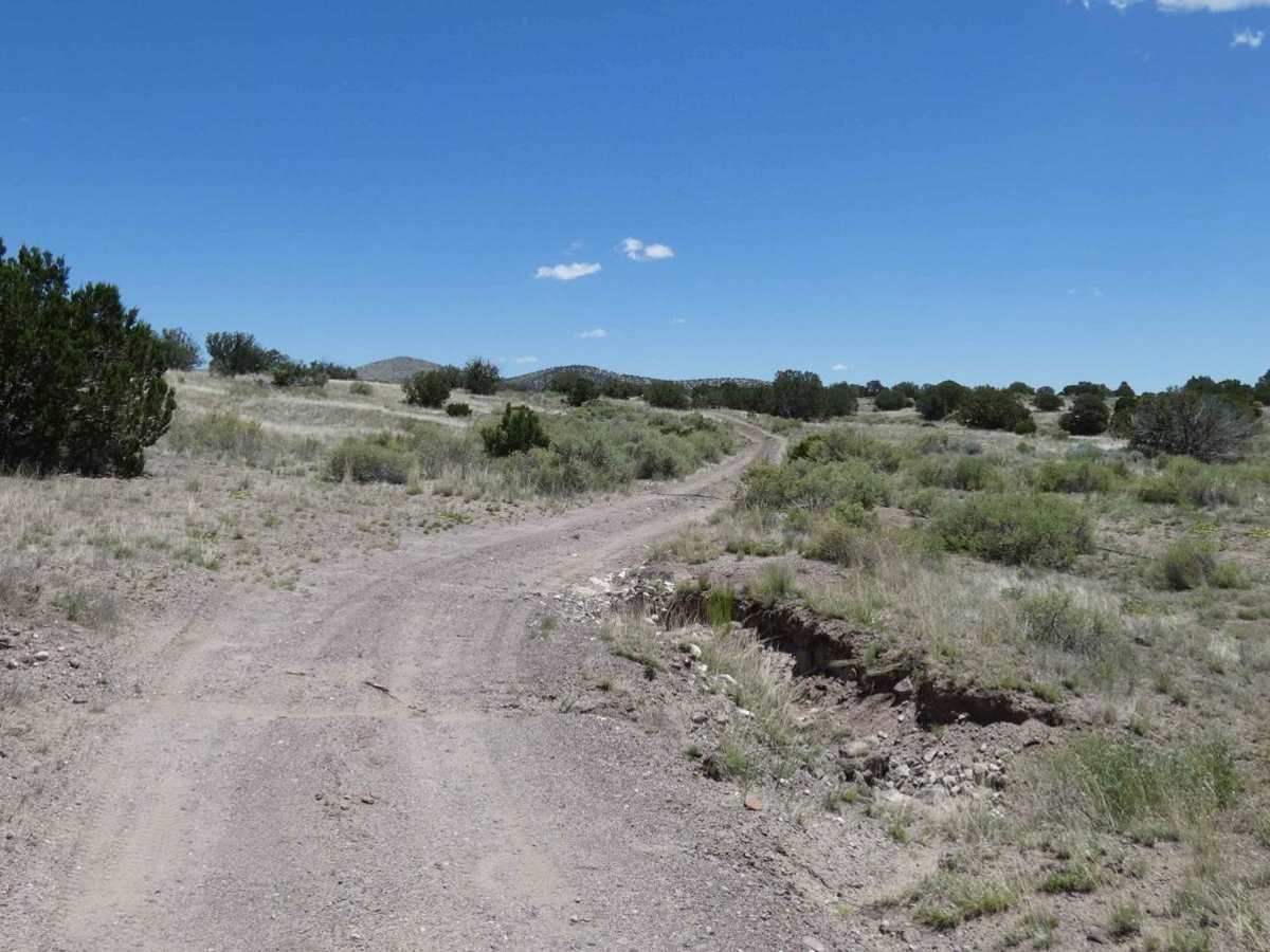 Buckhorn FS24 photo 5