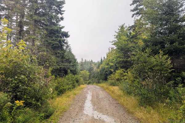 Strathglass Road