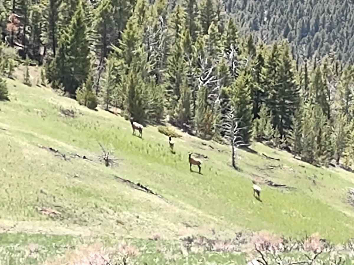 Crow Creek photo 2