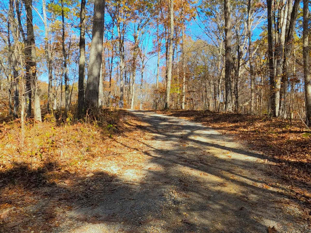 North Forest Road photo 4