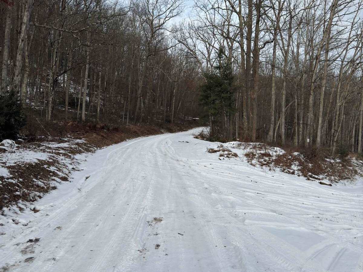 Garden Hollow Road photo 6