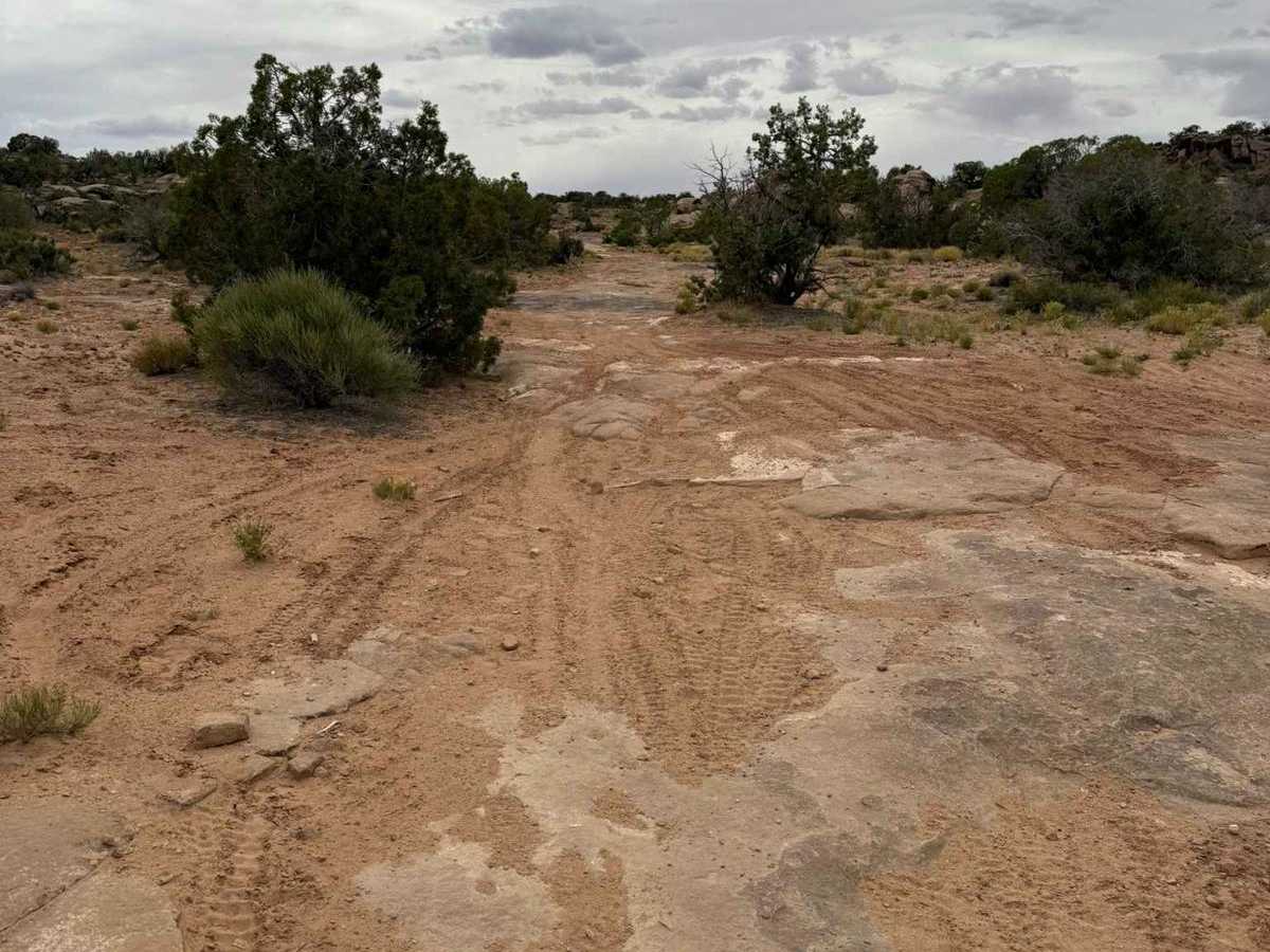 Juniper Trail photo 3